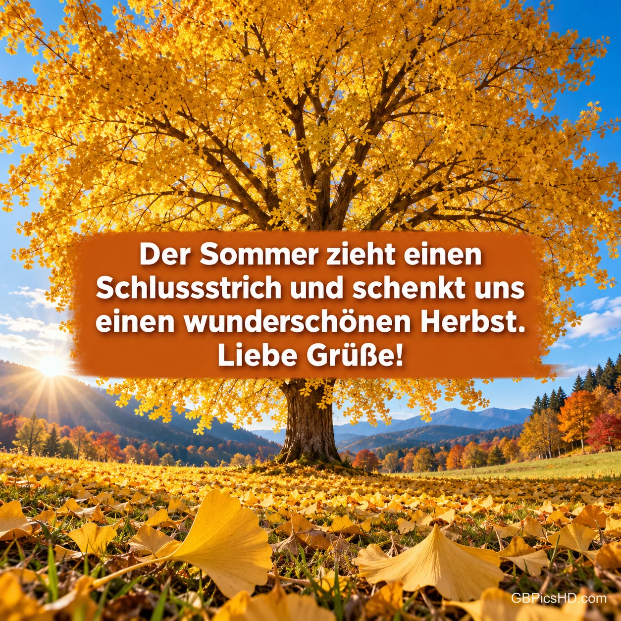 Ein mächtiger Baum mit goldgelbem Laub auf einer Wiese voller Blätter unter blauem Himmel, darüber ein Spruch zum Ende des Sommers mit lieben Grüßen