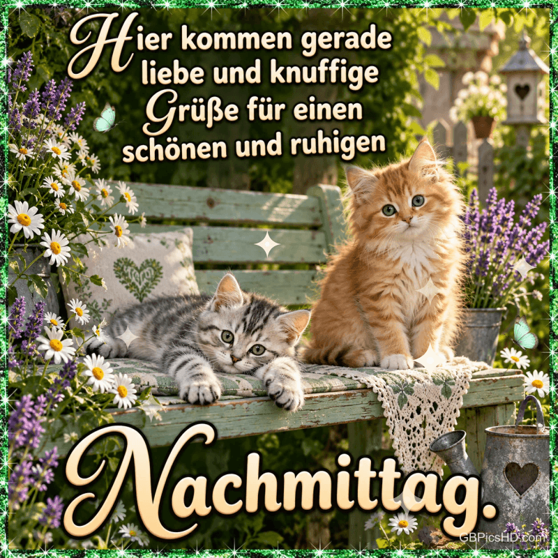 Zwei Kätzchen auf einer Gartenbank mit "Hier kommen gerade liebe und knuffige Grüße für einen schönen und ruhigen Nachmittag."