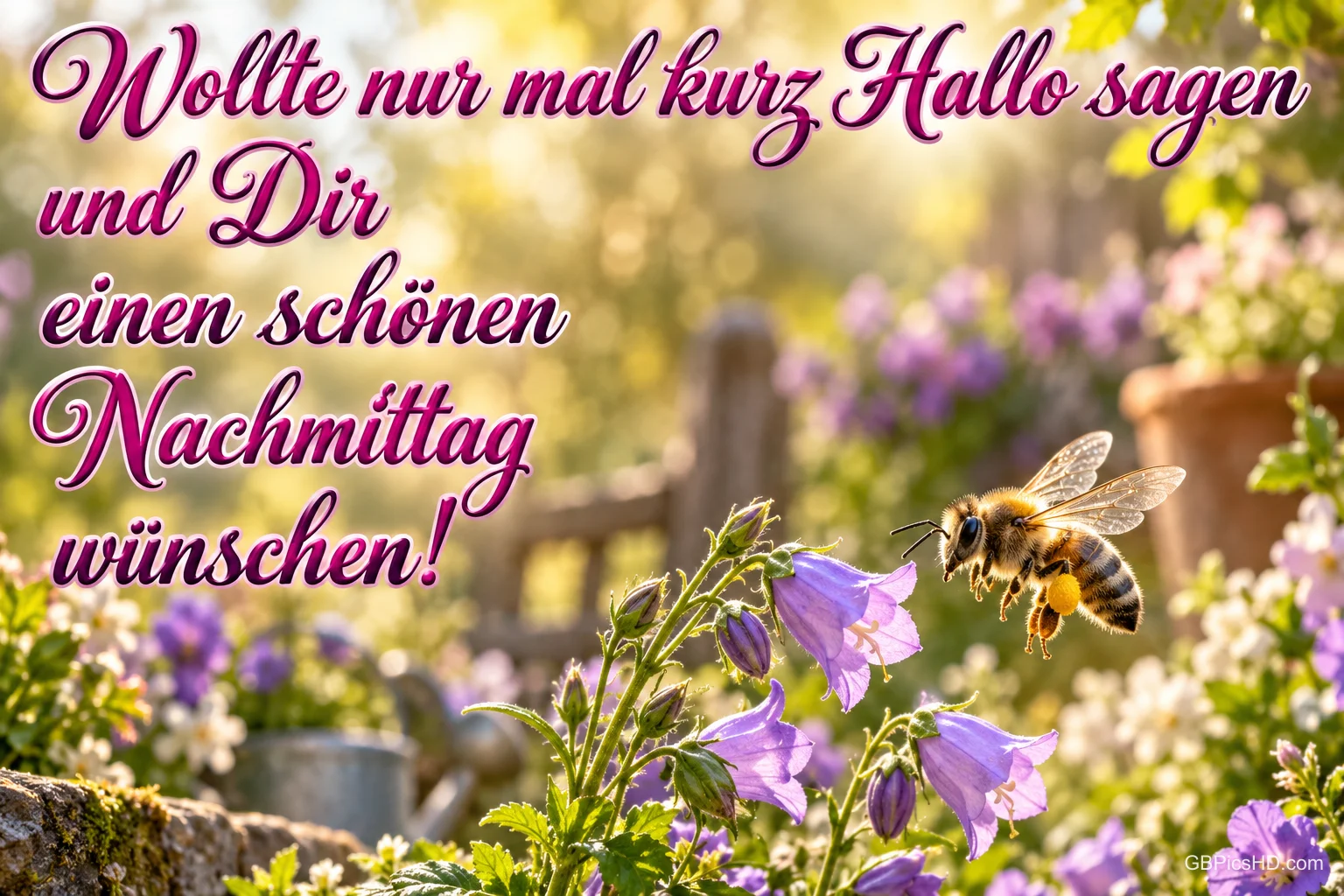 Eine Biene fliegt vor violetten Glockenblumen mit "Wollte nur mal kurz Hallo sagen und Dir einen schönen Nachmittag wünschen!"