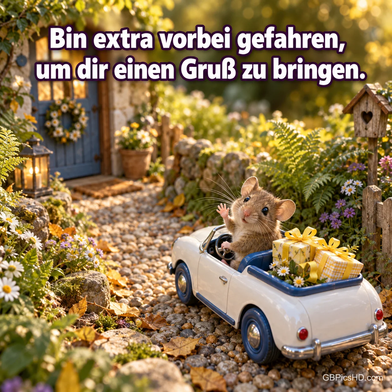Eine winkende Maus fährt ein weißes Spielzeugcabrio voller Geschenke durch einen Herbstgarten, dazu "Bin extra vorbei gefahren, um dir einen Gruß zu bringen.".