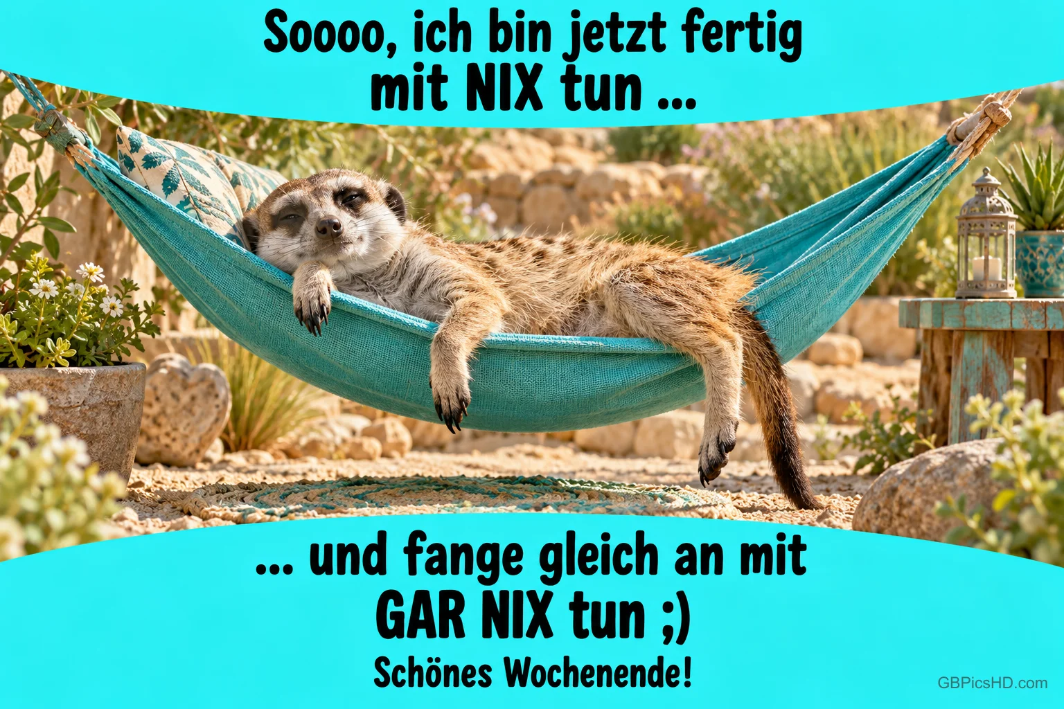 Ein Erdmännchen liegt ausgestreckt in einer türkisfarbenen Hängematte zwischen Textbändern mit dem Gruß "Schönes Wochenende!".
