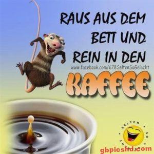 lustige guten morgen bilder