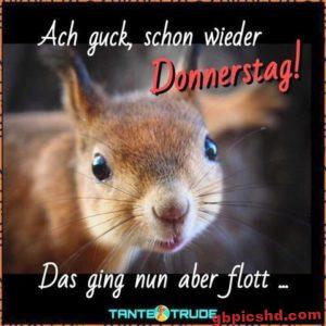 donnerstag lustige bilder