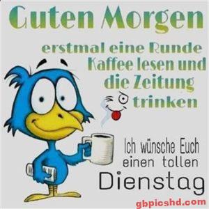 guten morgen dienstag bilder lustig