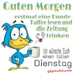 lustige bilder guten morgen dienstag