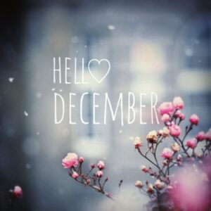 bilder hallo dezember