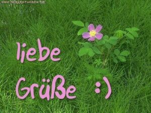 liebe gruse senden bilder