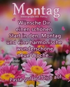 montag bilder blumen