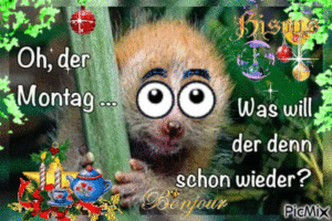 montag bilder gif