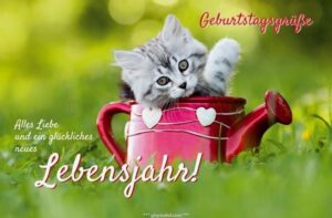 geburtstag bilder tiere